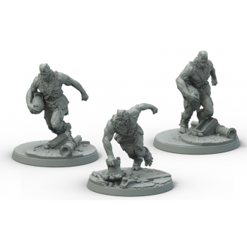 Fallout - Wasteland Warfare: Super Mutants Suiciders (EN)