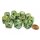 Chessex 16mm d6 with pips Dice Blocks (12 Dice) - Marble Green w/dark green