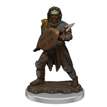 D&D Icons of the Realms: Premium Figures: Male Human Fighter (6 Units)