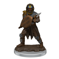 D&D Icons of the Realms: Premium Figures: Male Human...