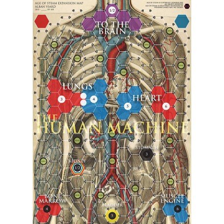 Age of Steam: Human Bodies/Synapses (EN)