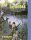 Panzer Grenadier: Leyte 1944 (EN)