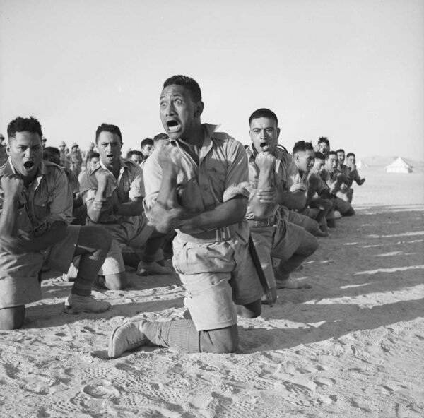 Panzer Grenadier: New Zealand Division (EN)
