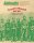 Cactus Throne: The Mexican War of 1862-1867 (EN)