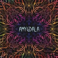 Amygdala (DE/EN)