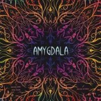 Amygdala (DE/EN)