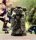 BattleTech: Northwind Highlanders Command Lance (EN)