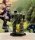 BattleTech: Proliferation Cycle (EN)