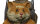 D&D Nolzurs Marvelous Miniatures: Paint Night Kit Giant Space Hamster Limited Edition