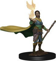 D&D Icons of the Realms: Premium Figures W1 Elf...