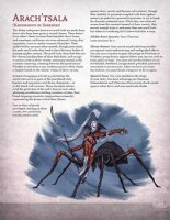 Drider of the Underworld (EN)