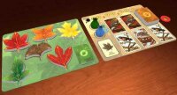 Leaf (EN)