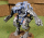 BattleTech Miniatures: Rabid Coyote Standard