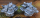 BattleTech Miniatures: Shamash Recon Standard (2)