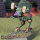 BattleTech Miniatures: Locust