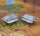 BattleTech Miniatures: Heavy Hover APC Standard (2)