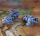 BattleTech Miniatures: Blizzard Hover Transport Standard (2)