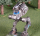 BattleTech Miniatures: Targe TRG-1N