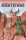 Old-School Essentials RPG: Through the Valley of the Manticore Canyon Map (EN)