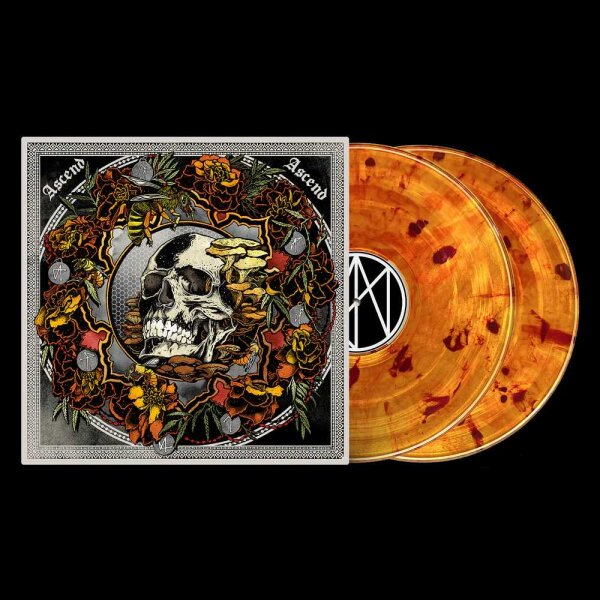 Acend Ascend Vinyl LP (EN)