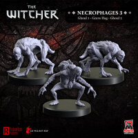 The Witcher RPG: Necrophages 3 - Ghouls and Grave Hag (3)