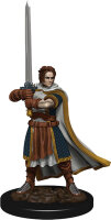 D&D Icons of the Realms: Premium Figures W4 Human...