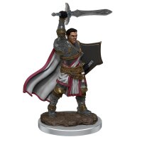 D&D Icons of the Realms: Premium Figures W7 Male...