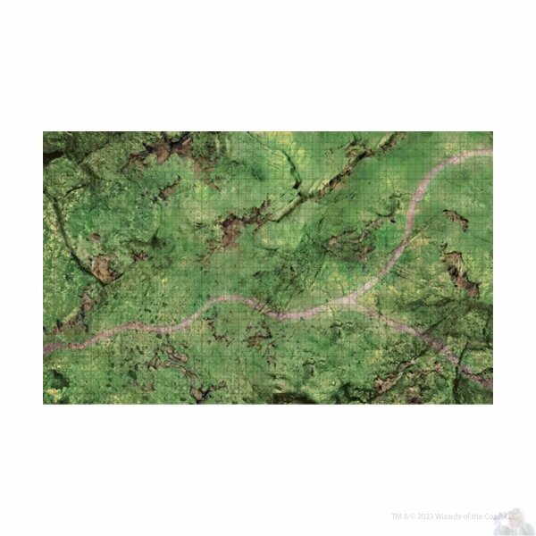 D&D Icons of the Realms: Plains Battle Mat (EN)
