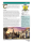 Harnmaster: City of Thay (EN)