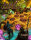 Fairy Campaigns PF2 (EN)