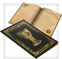 Tainted Grail: Adventurers Notebook (DE)