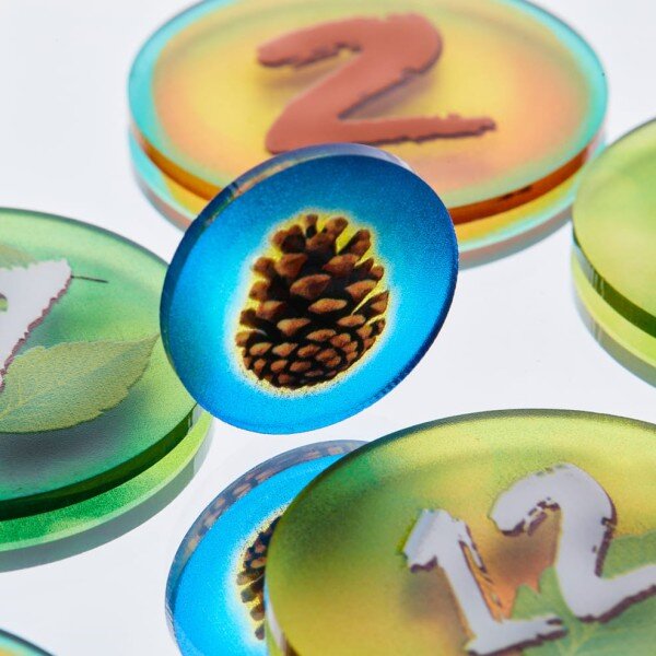 Token and Markers: Photosynthesis Token Set