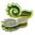Token and Markers: Spirit Island - Branch & Claws Token Set