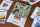 Zoo King: Zoovenirs (EN)