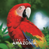 Life of the Amazonia (EN)