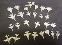 Hornet Leader: Miniatures (EN)