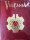 Vulcania RPG: Limited Edition Core Rulebook (EN)