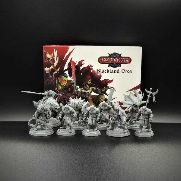 Bloodfields: Blackland Orcs Starter Set (EN)