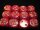 Chessex 16mm d6 with pips Dice Blocks (12 Dice) - Scarlet/Gold Scarab