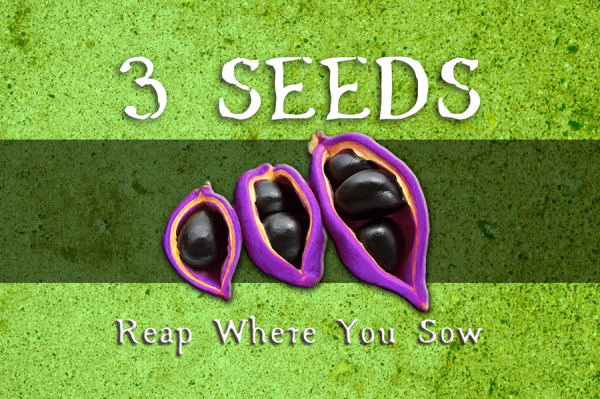 3 Seeds: Reap Where You Sow (EN)