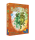 Holly Oak (EN)