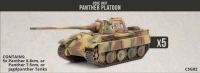 Clash of Steel: Panther (8.8cm) Tank Platoon (5)