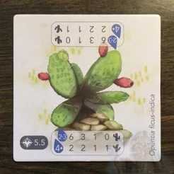 Petrichor: Cactus Promo Tile (EN)