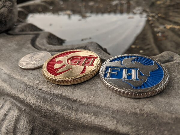 Frosthaven Challenge Coins