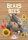 The Bear and the Bees (EN)