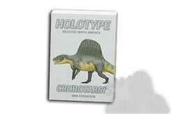 Holotype Crurotarsi