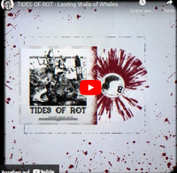 Frontier Scum RPG: Tides of Rot