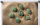 Dracopolis Dice Set: The Andean Longneck (7)