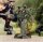 BattleTech: Clan Direct Fire Star (EN)