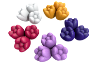 Windmill Valley: Tulips (EN)